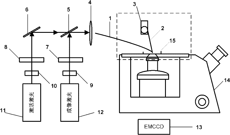 Photoactivation positioning microscopic imaging system based on micronano optical fiber evanescent field illuminator