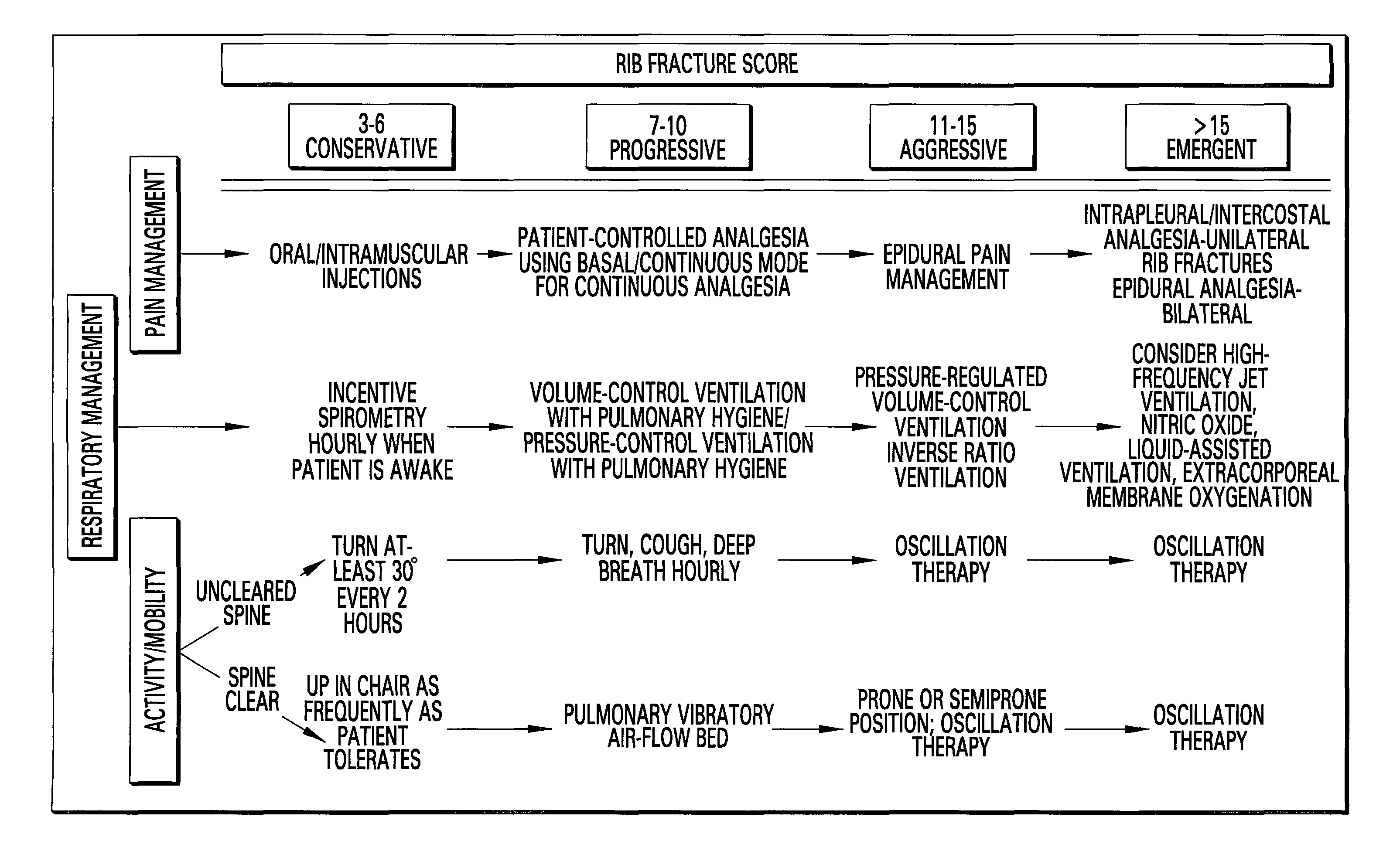 Rib fracture score and protocol