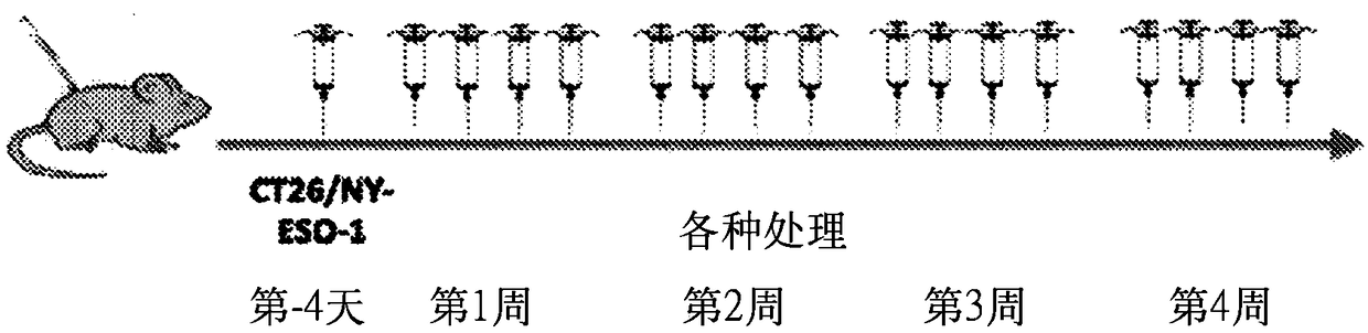 Virus vectors expressing multiple epitopes of tumor associated antigens for inducing antitumor immunity