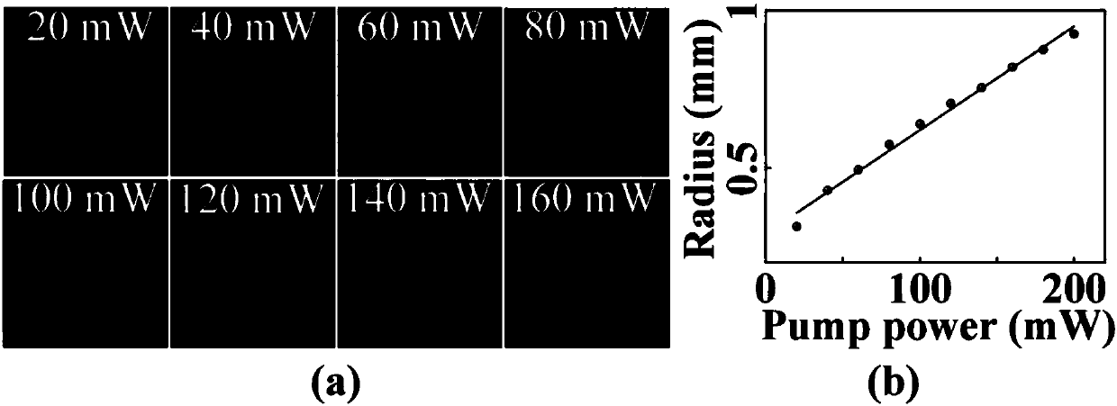 Optical tweezers control method based on hollow light dimension adjustment and optical tweezers control device based on hollow light dimension adjustment