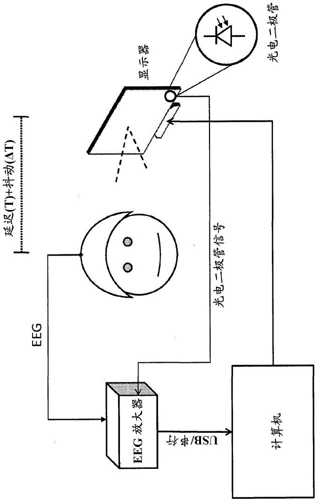 Physiological parameter measurement and feedback system