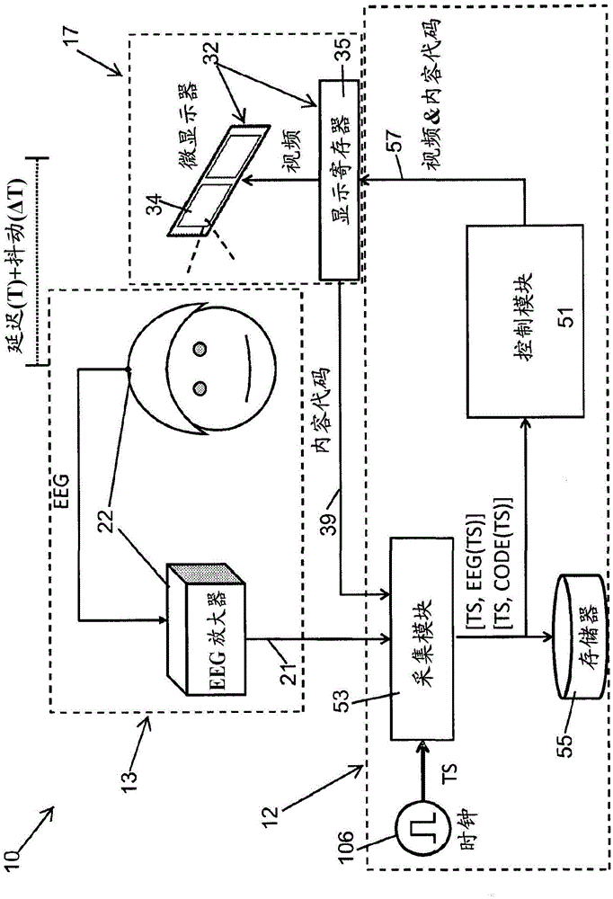 Physiological parameter measurement and feedback system