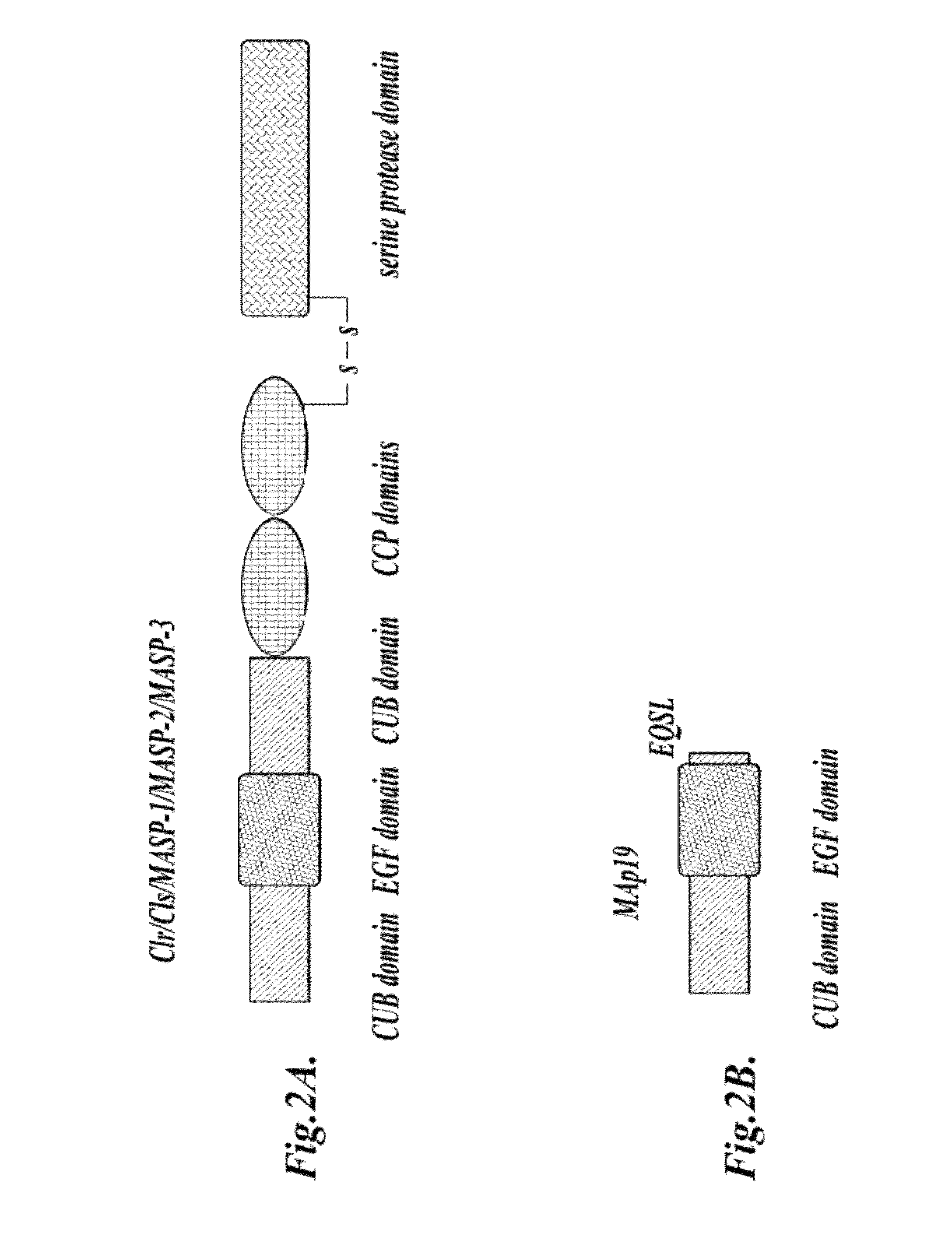 Methods for treating conditions associated with MASP-2 dependent complement activation