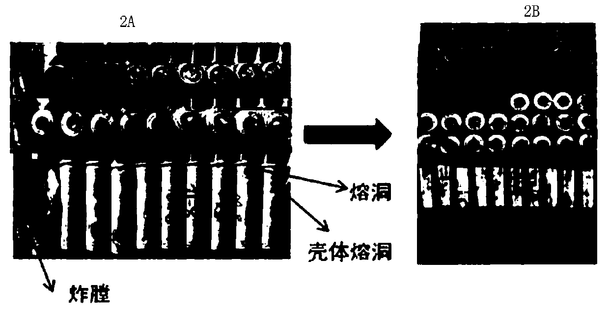 Lithium ion battery and with high safety performance and battery module