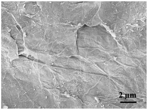 Preparation method of silicon-based heteropolyacid doped magnetic composite membrane material