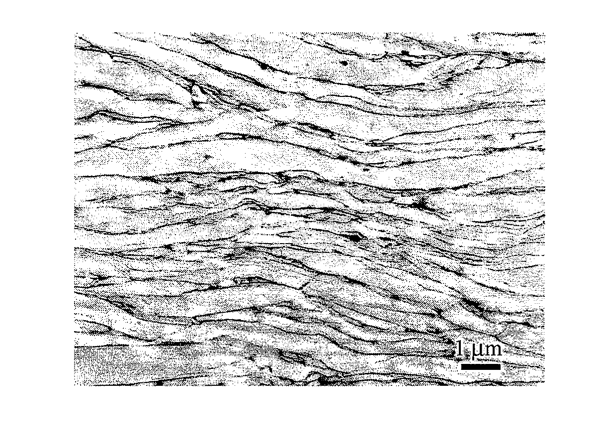 Magnets made from nanoflake precursors