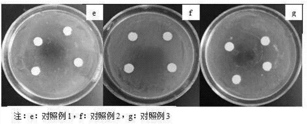 Natural Salvia miltiorrhiza polysaccharide-containing compound antibacterial liquid soap and preparation method thereof