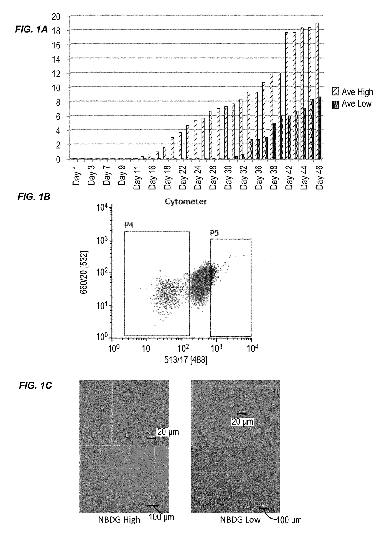 Methods of selecting and isolating cancer stem cells