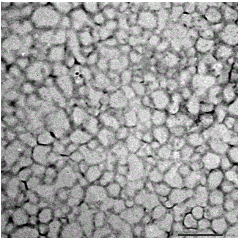 Nanometer 1H-19F-31P multi-nuclear magnetic resonance molecular imaging probe transmitted through respiratory tract and preparing method thereof