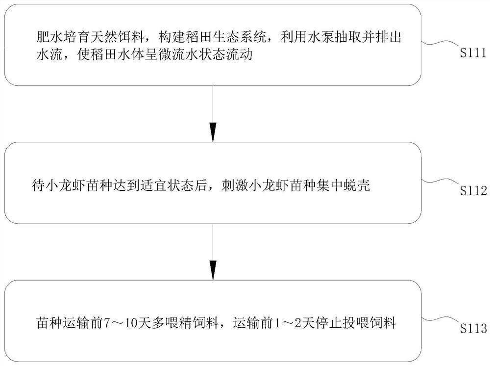 Method for increasing crayfish fry transportation survival rate