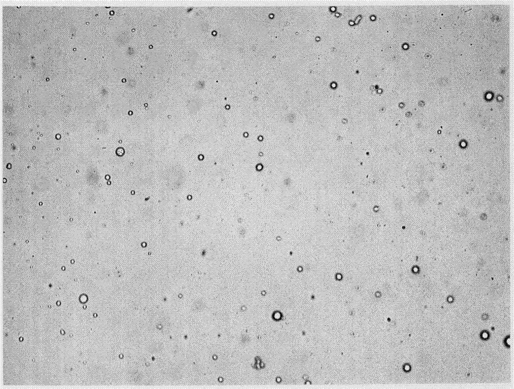 Hydrophobized polysaccharide, and preparation method and application thereof