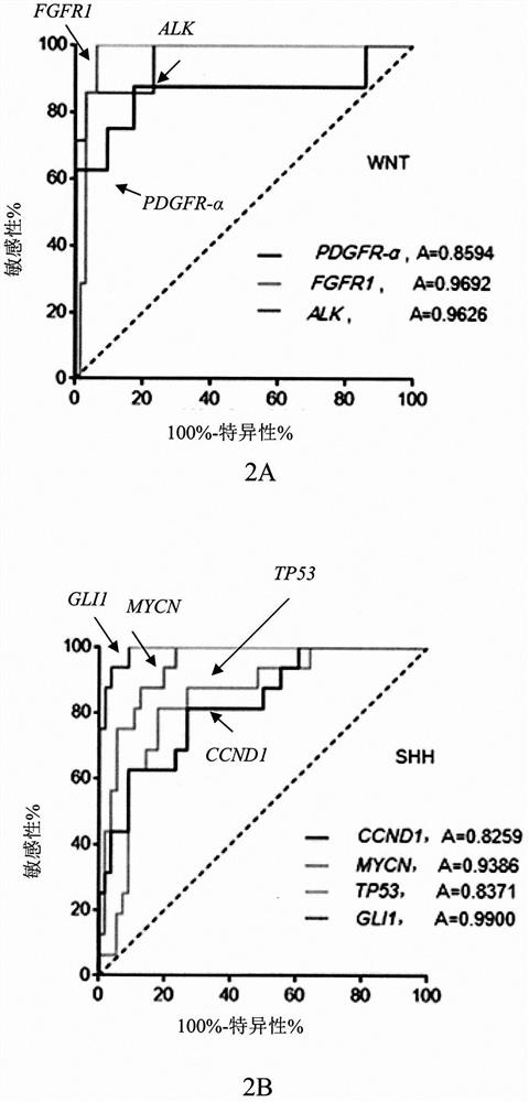 Gene clusters for molecular typing of medulloblastoma and use of the snca gene as a biomarker for medulloblastoma type 4