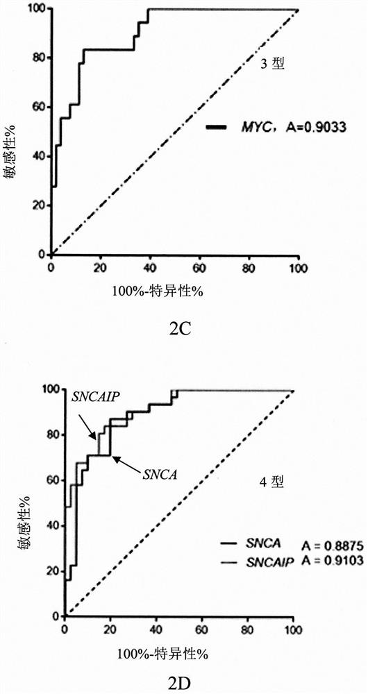 Gene clusters for molecular typing of medulloblastoma and use of the snca gene as a biomarker for medulloblastoma type 4