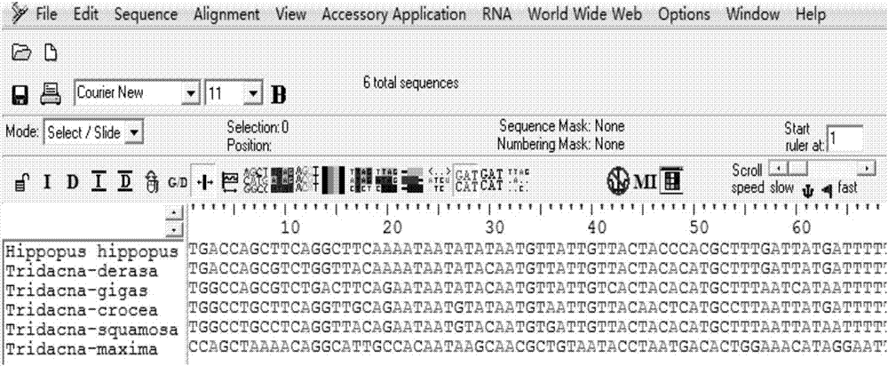 Standard detection method and application of DNA bar code for identifying tridacna