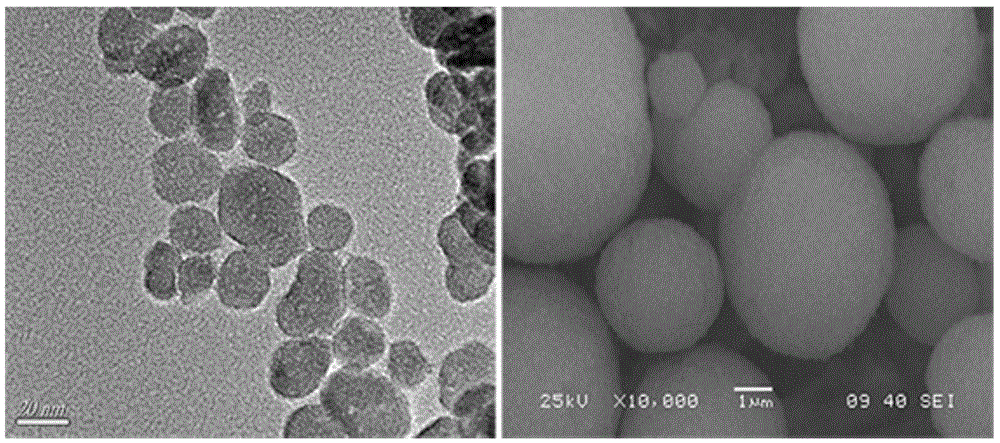 Preparation method and application of heterojunction photocatalyst