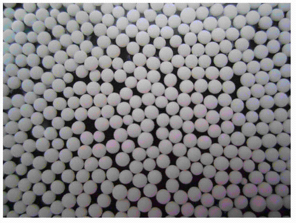 Photocatalytic composite gel bead and preparation method as well as application thereof