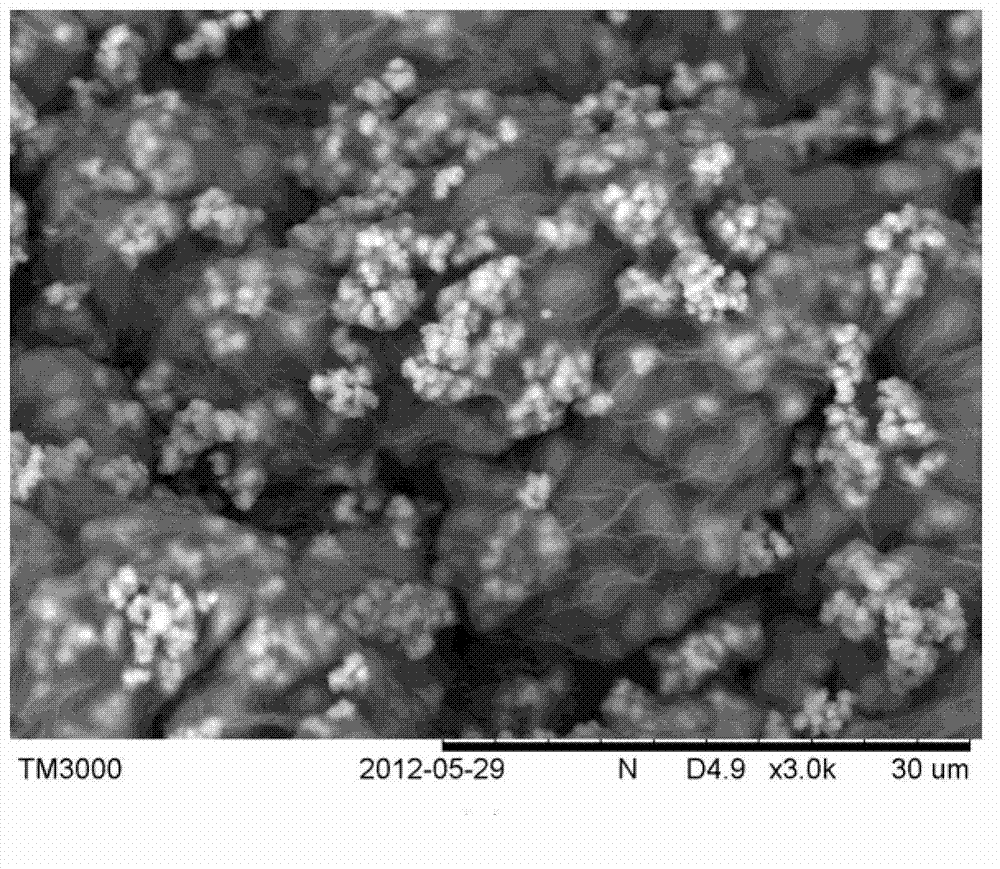 Photocatalytic composite gel bead and preparation method as well as application thereof