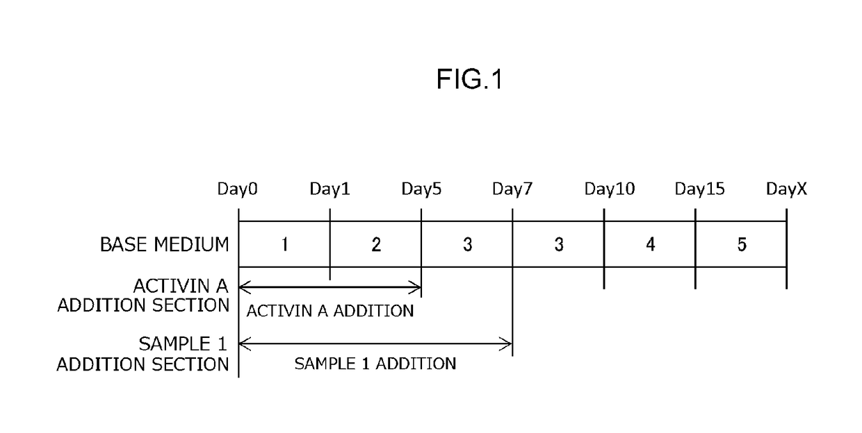 Method for producing myocardial cells using synthetic peptide