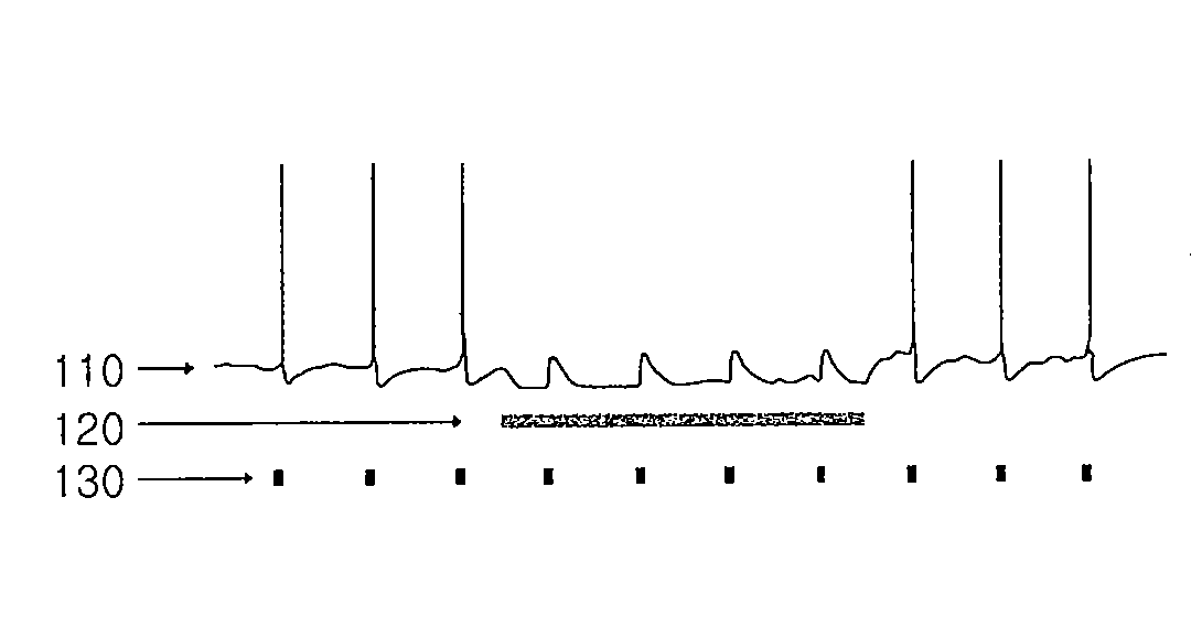 Apparatus for stimulating the brain and measuring the light induced neuronal activity and method for manufacturing the same