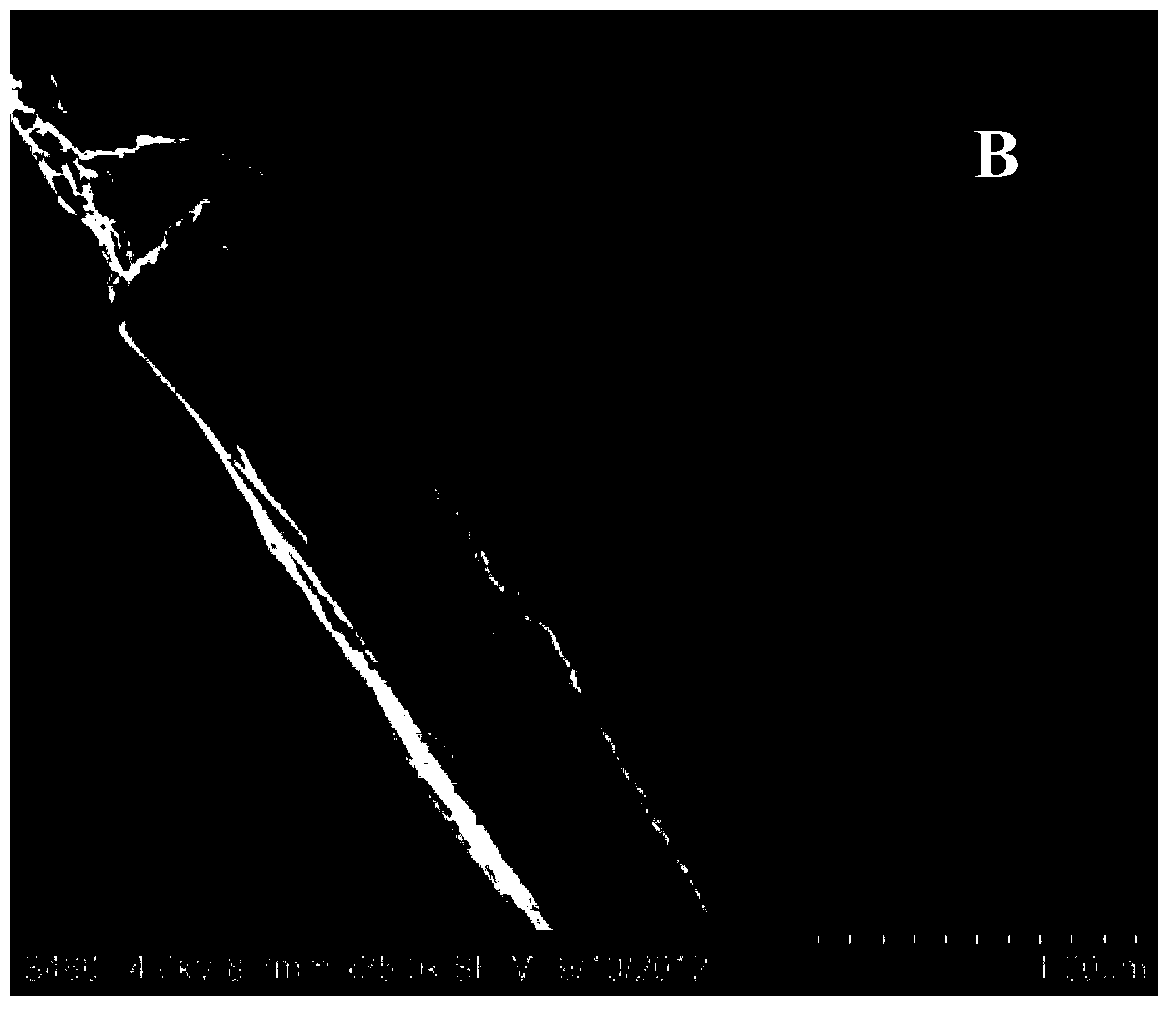 Interface modified carbon fiber/resin matrix composite material and preparation method thereof