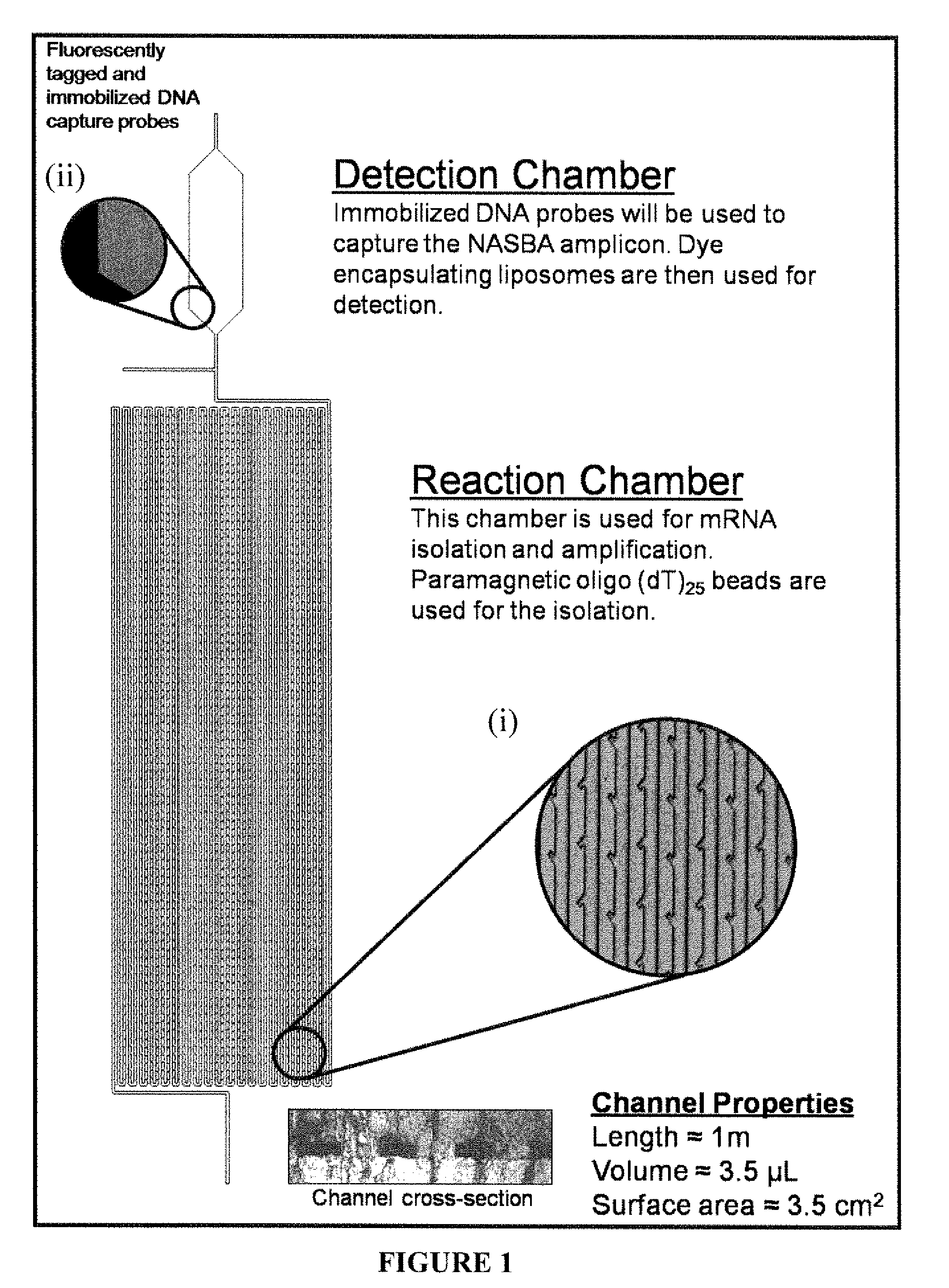 Microchannel detection device and use thereof