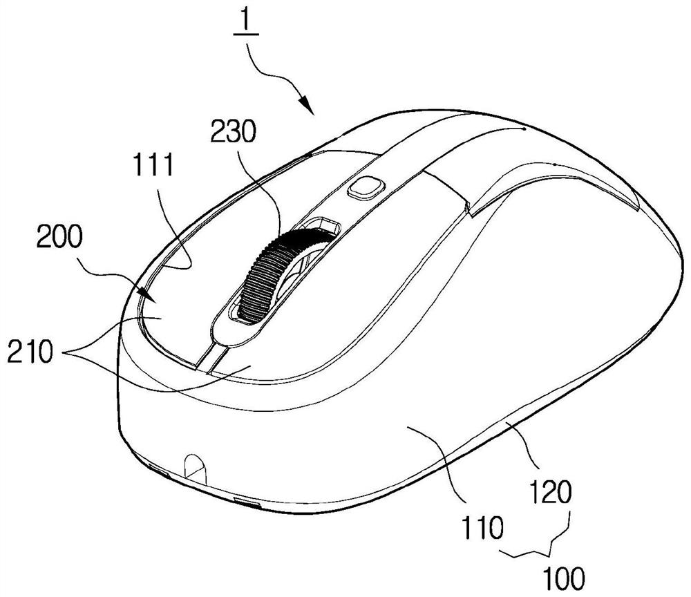 Input device for computer