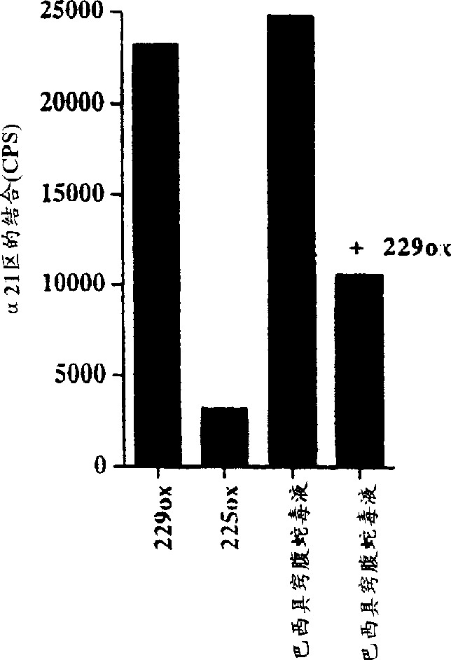 Integrin binding peptide and use thereof