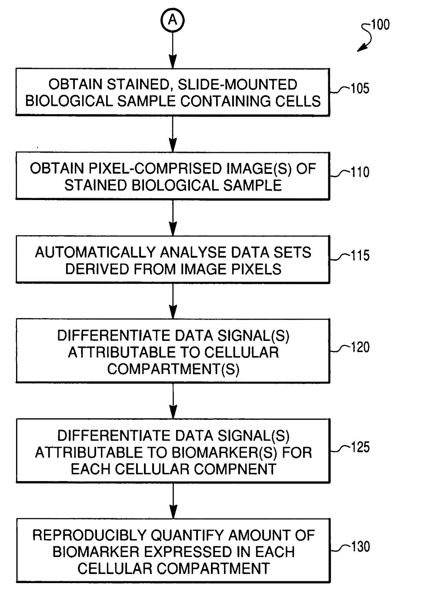 Reproducible quantification of biomarker expression