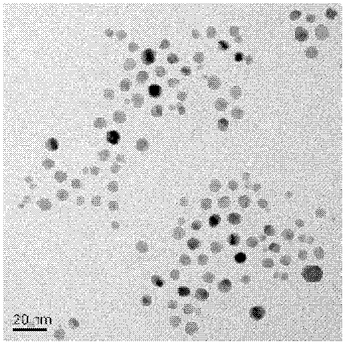 Preparation method for controllable duplex metal alloy nano particle