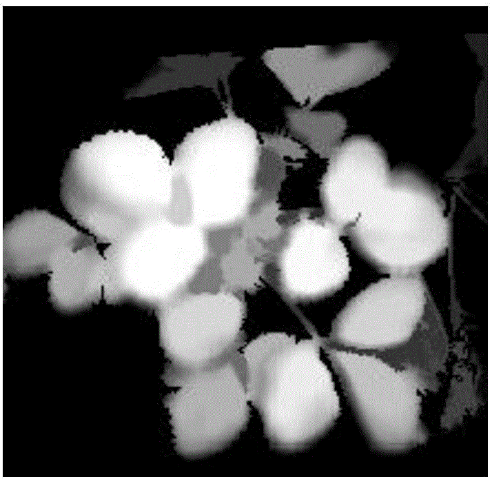 Three-dimensional modeling method of elevated in-situ strawberry based on contour segmentation