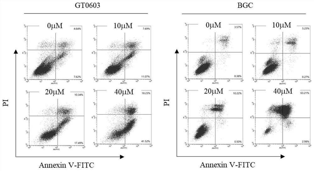 A new tumor stem cell killer for gastric cancer and its application