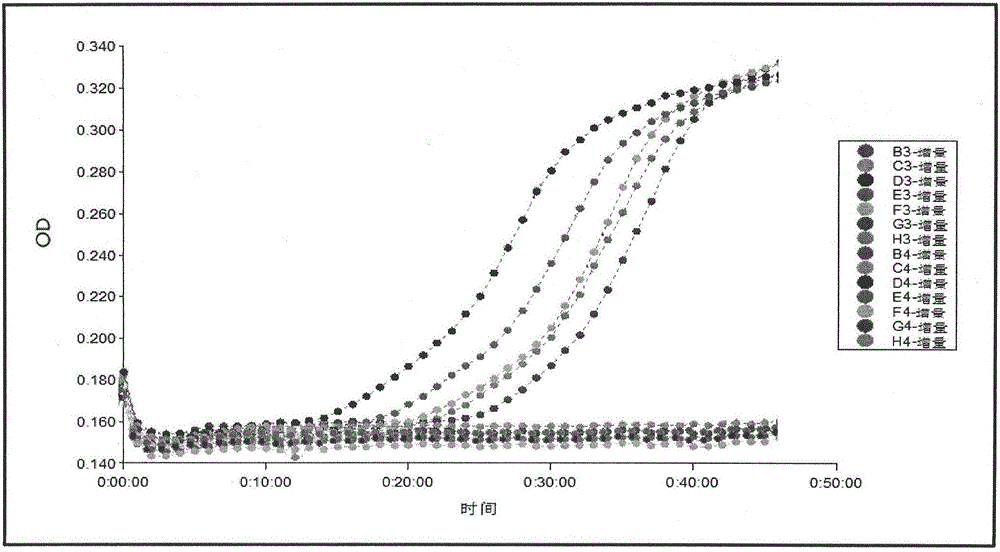 Nucleic acid (DNA/RNA) real-time constant-temperature gene amplification detection method