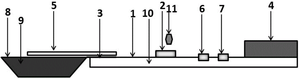 Canine parvovirus hybridoma, monoclonal antibody and application