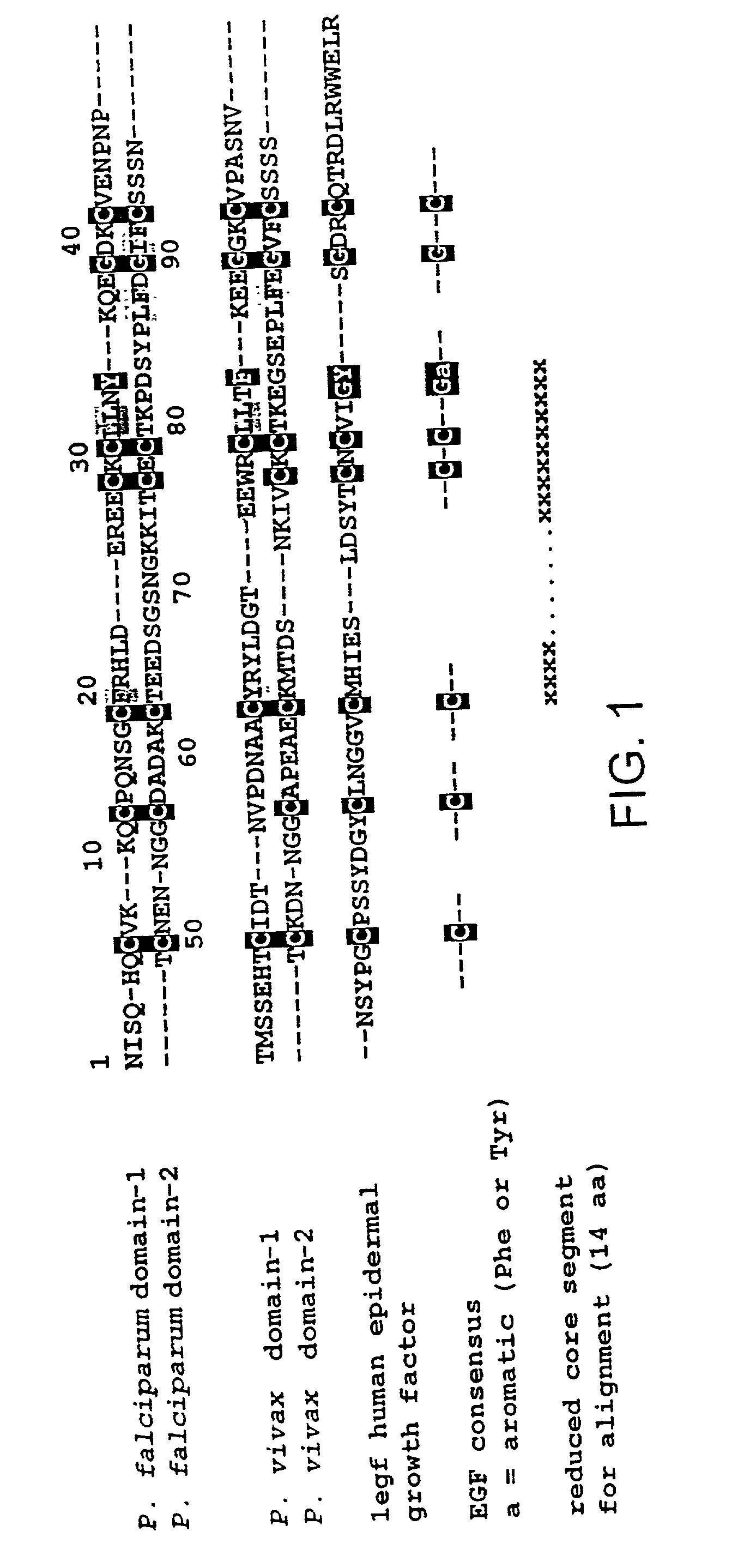 Malaria vaccine