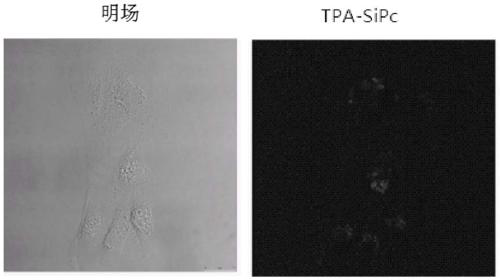 Triphenylamino dendrimer ligand substituted silicon phthalocyanine and its preparation method and application