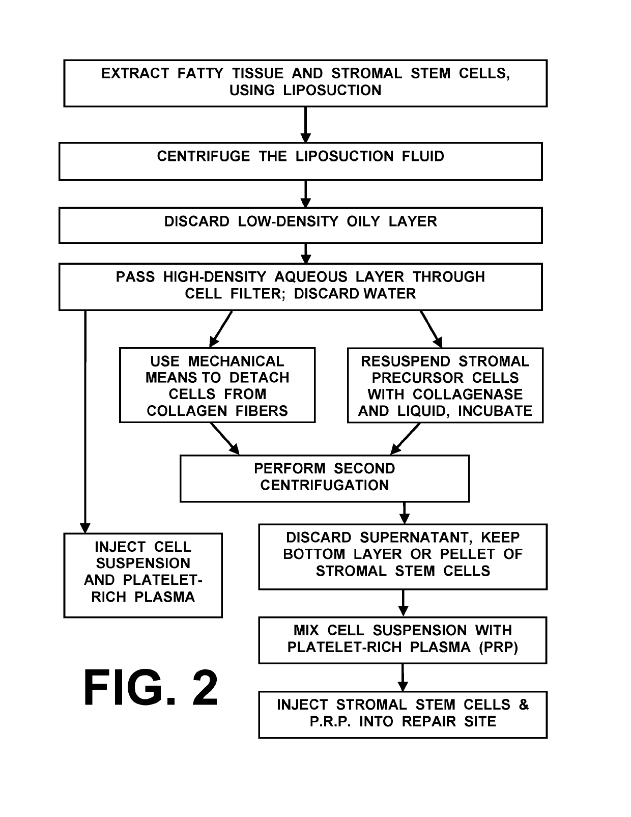 Methods and devices for harvesting and processing connective tissue precursor cells from autologous fat