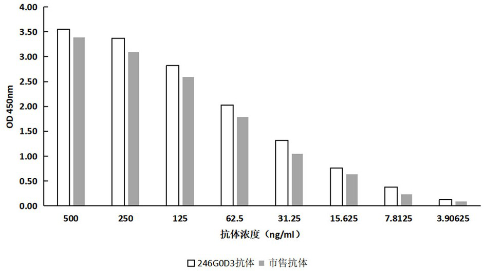 Anti-HER2 recombinant rabbit monoclonal antibody and application thereof