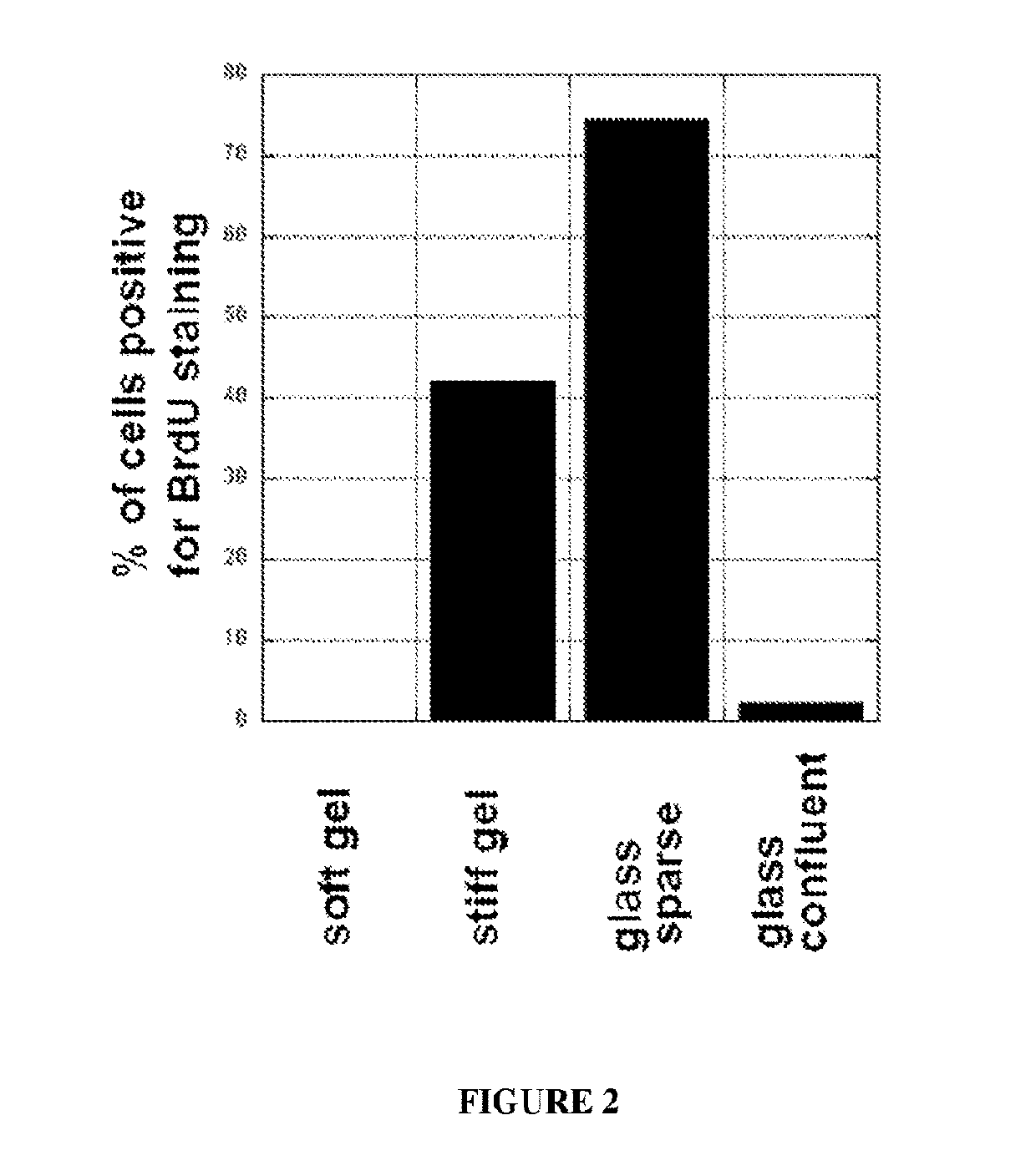 Low Rigidity Gels for MSC Growth Modulation