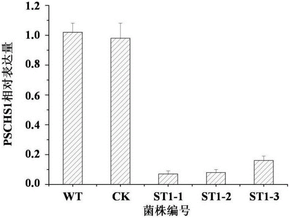 Chitin synthase and gene thereof, and application of the chitin synthase