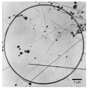 Preparation method of silver nanoring