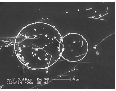 Preparation method of silver nanoring