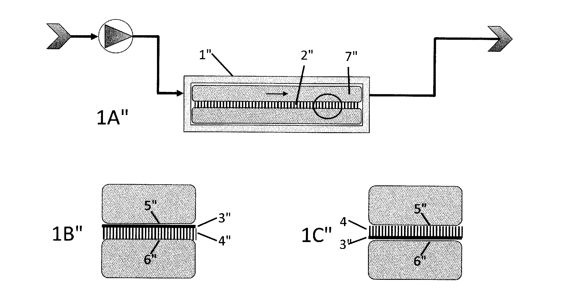 Systems for water extraction