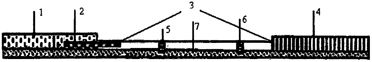 Test strip for detecting bifenthrin and application of test strip