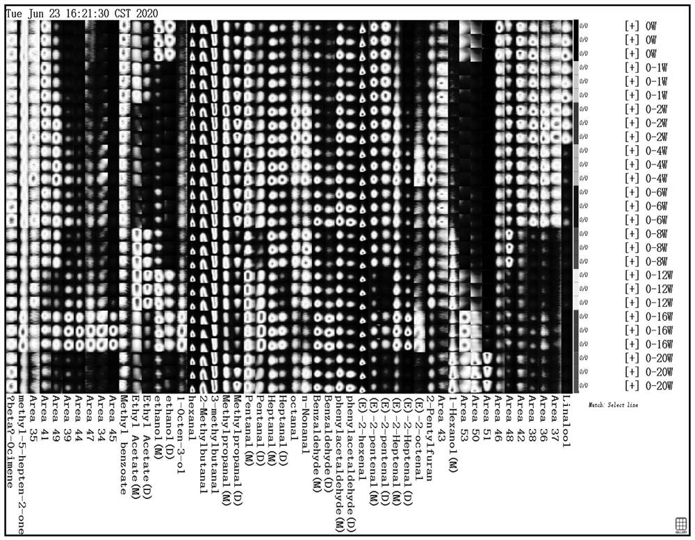 Grape postharvest storage period evaluation method based on characteristic aroma substance fingerprint spectrum