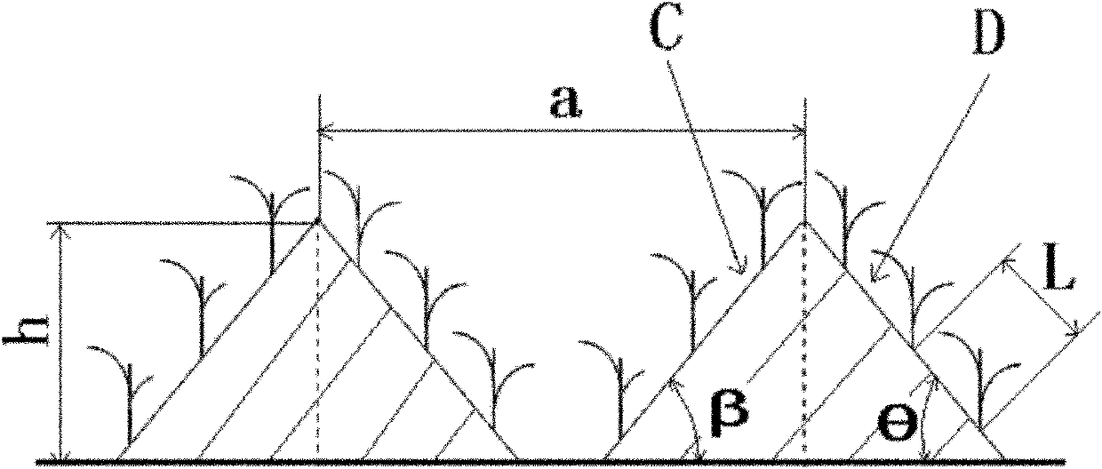 Chicken and duck mixed ecological culturing technical method under rice ladder-type cultivation