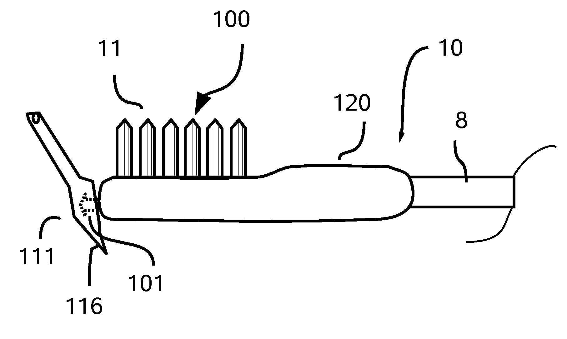 Flossing and oral hygiene tool