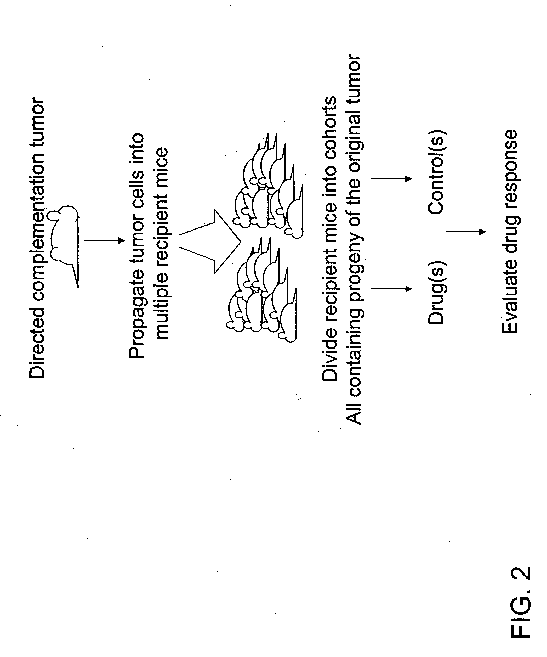 Directed complementation