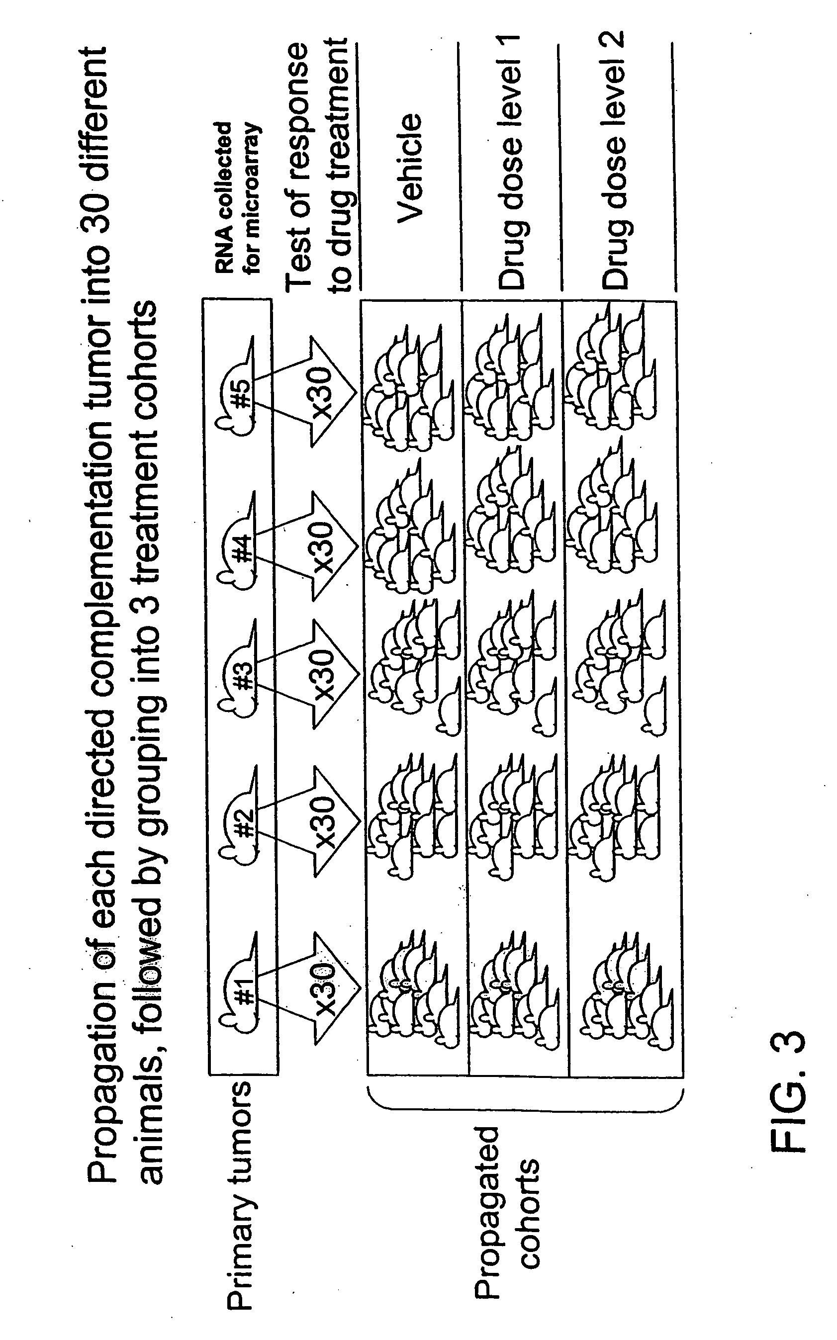 Directed complementation