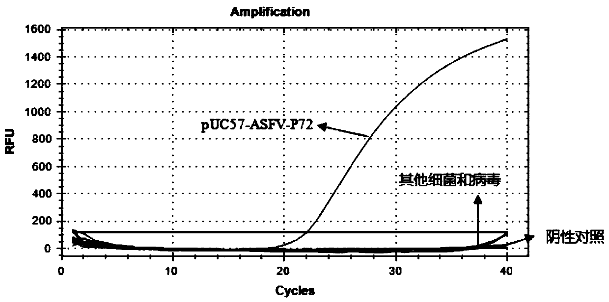 PCR primer and probe for detecting infectivity of African swine fever virus, kit and detection method