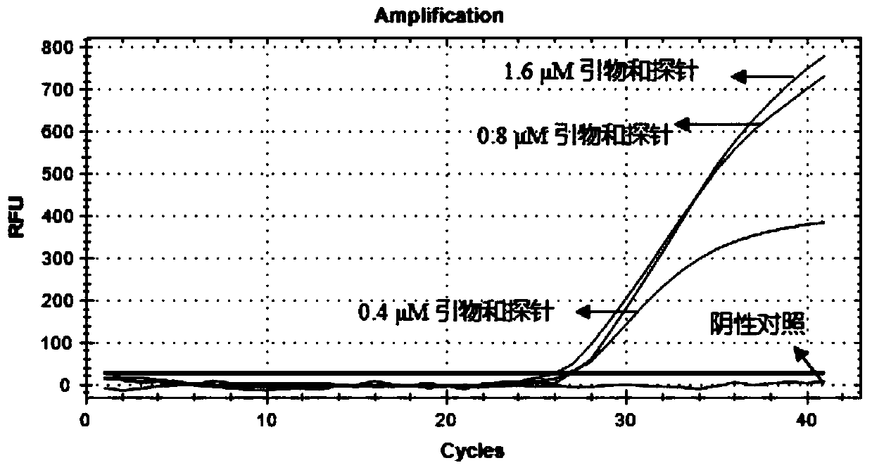 PCR primer and probe for detecting infectivity of African swine fever virus, kit and detection method